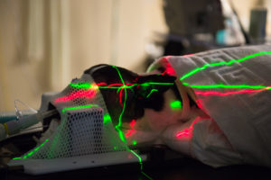 Dog with green and red laser light on radiation therapy machine getting palliative care