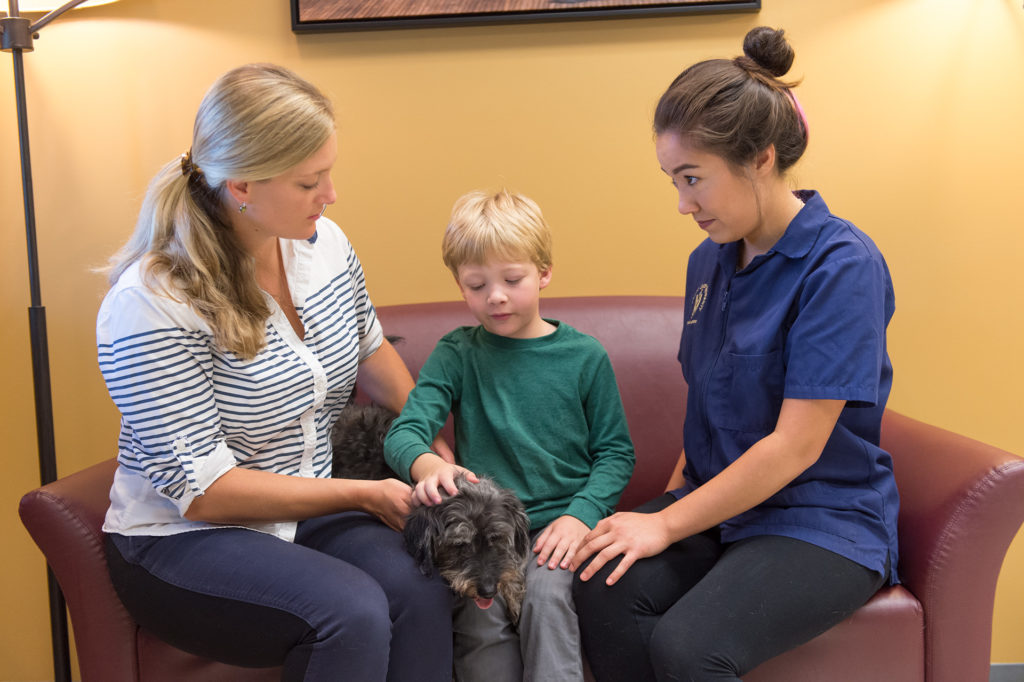 Woman, child and veterinary student with dog, discussing palliative care