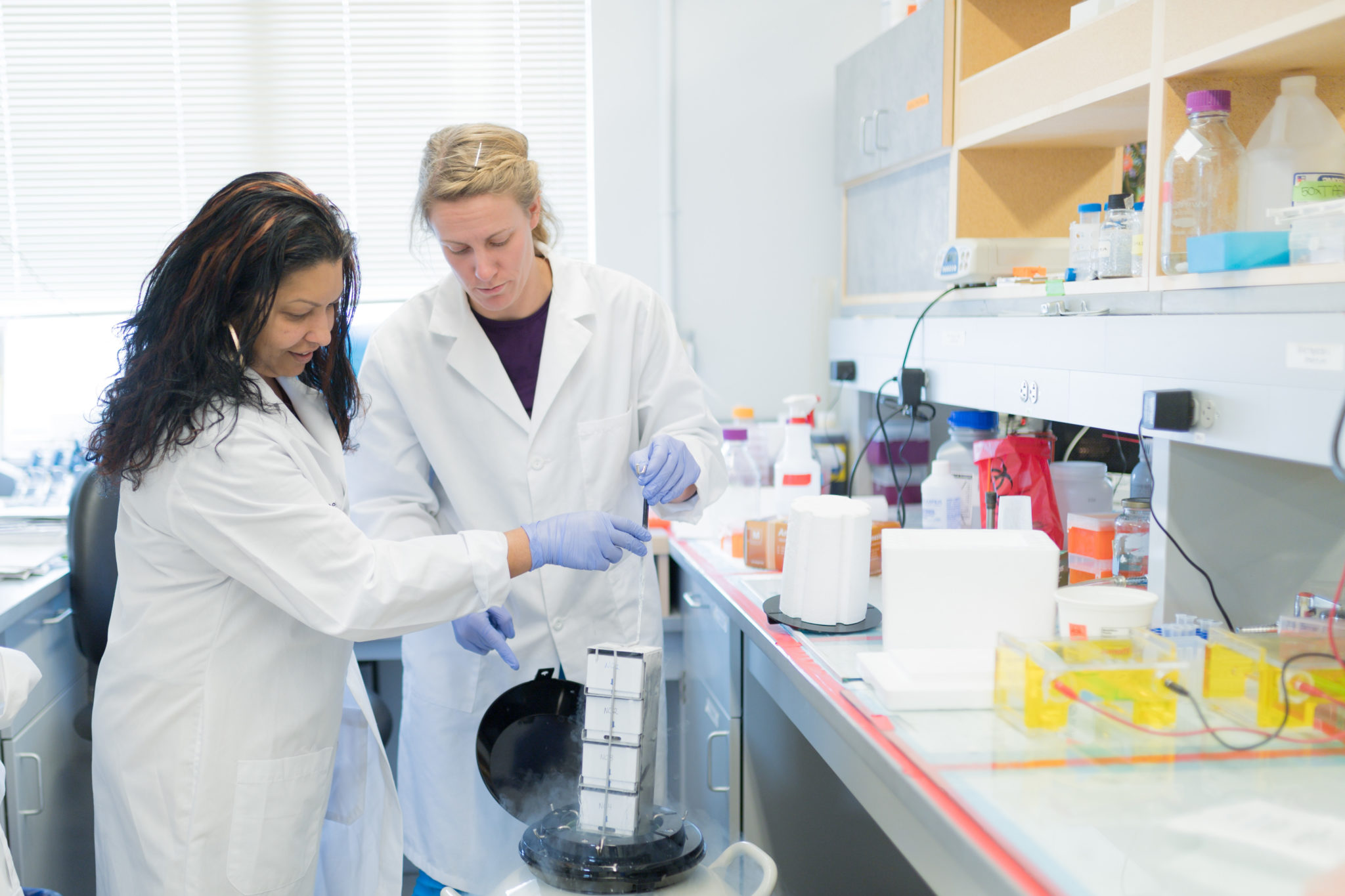 color photo of researchers Rushika Perera Rebekah Gullberg in the lab