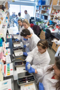 color photo of high school students in a lab on CSU's Foothills Campus, taking part in World TB Day 2017