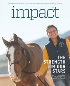 cover image from Impact magazine, a girl with a horse
