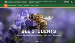 screenshot of Source homepage, with a bee on a purple background