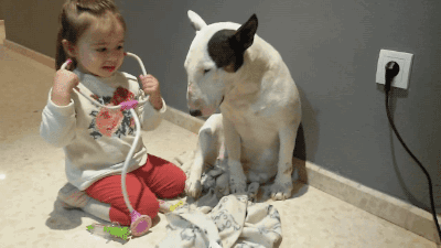 A little girl "listens" to a dog's heartbeat with a toy stethoscope