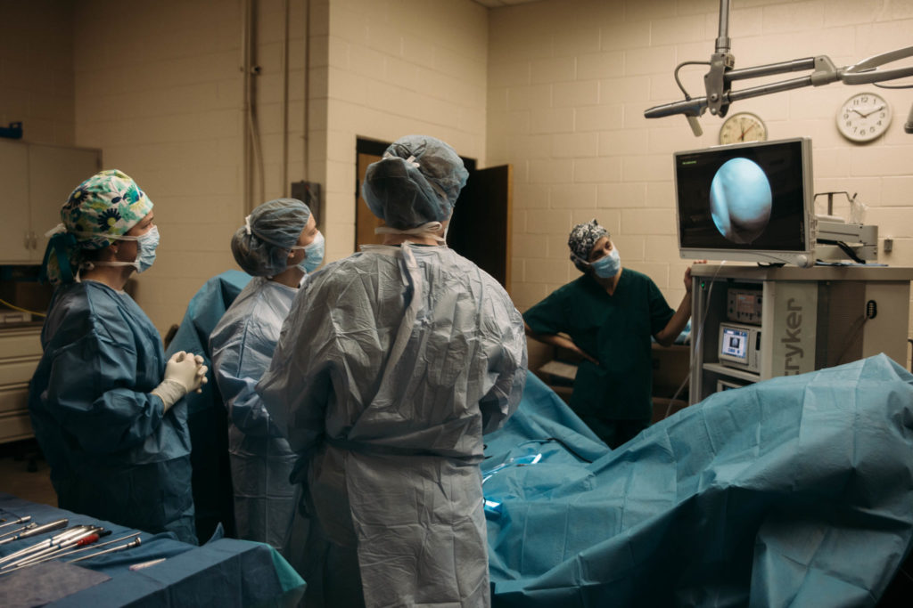 10:26 a.m. | Students observe as Dr. Valerie Moorman performs an arthroscopic procedure to repair a torn ligament in Deuce’s leg.