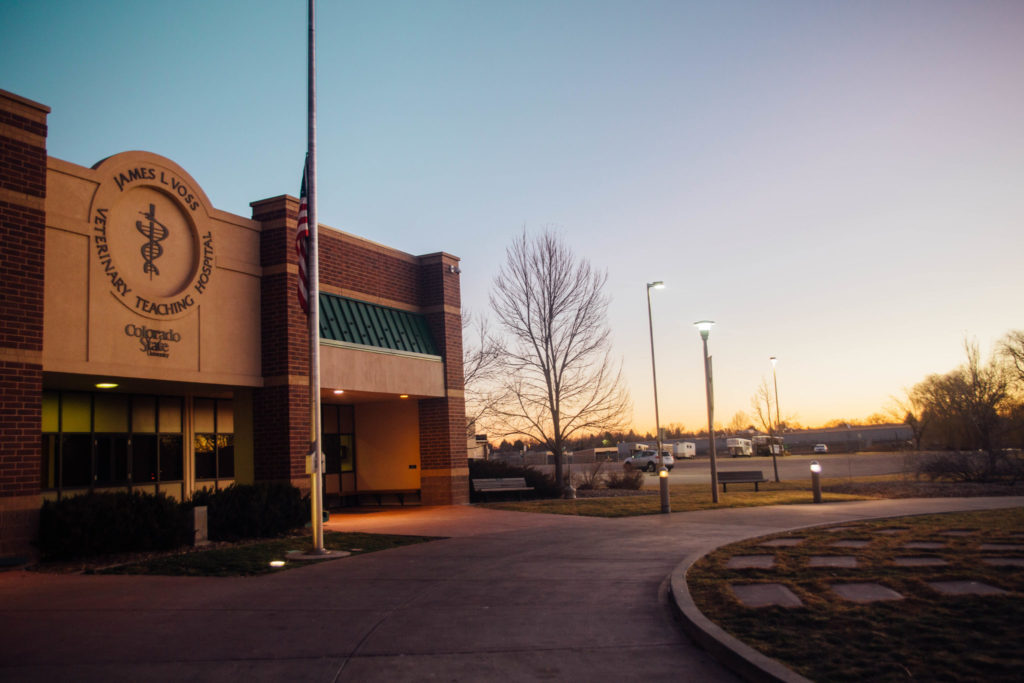 7:15 a.m. Dawn at the James L. Voss Veterinary Teaching Hospital, open 24 hours every day of the year.