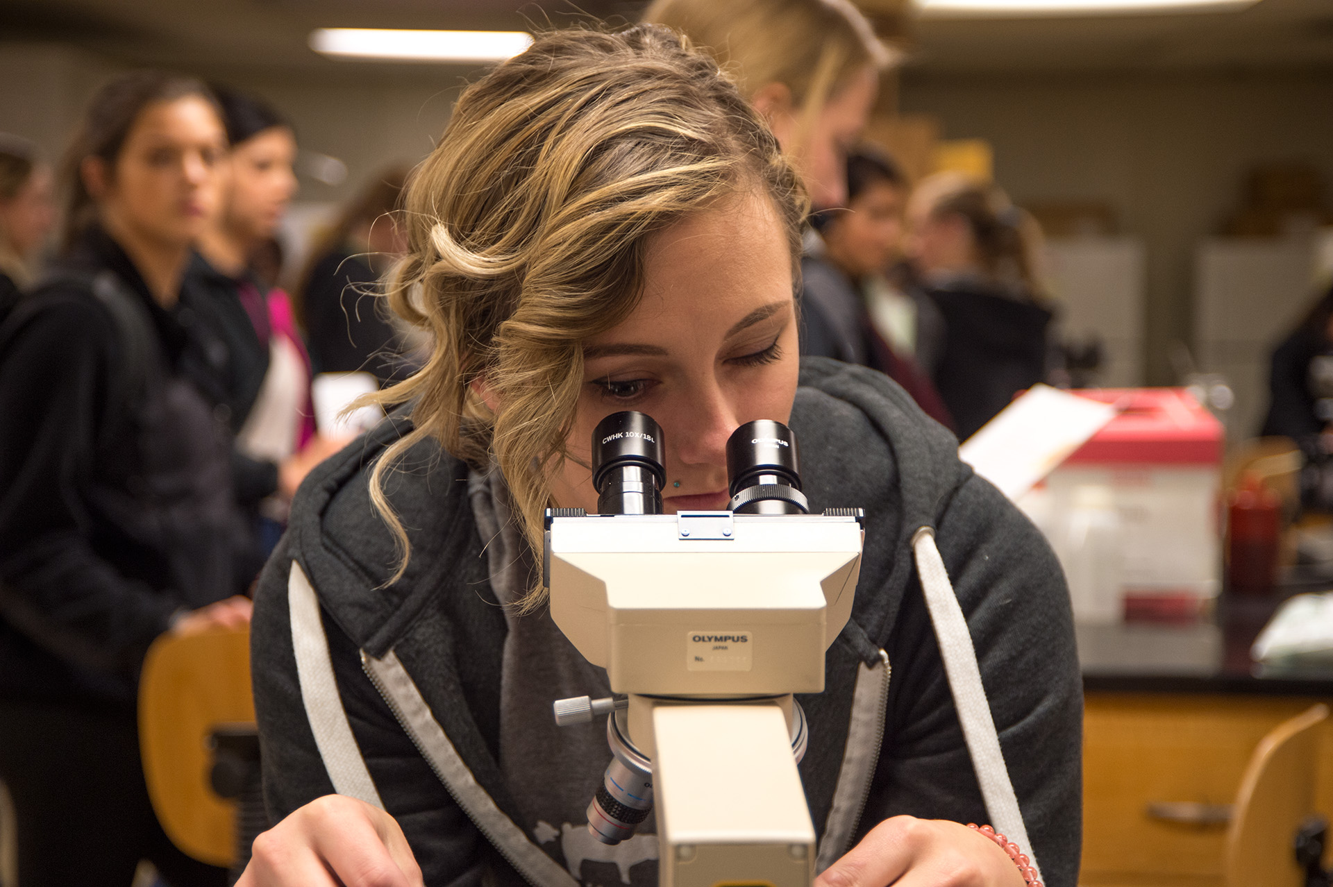 Colorado State University students explore options in Veterinary Medicine at PreVet Day. October 7, 2017