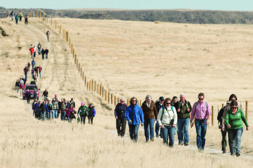 About 350 people trekked onto the Soapstone Prairie Natural Area to witness the release of the Laramie Foothills Bison Conservation Herd onto the prairie November 1, 2015.
About 350 people trekked onto the Soapstone Prairie Natural Area to witness the release of the Laramie Foothills Bison Conservation Herd onto the prairie November 1, 2015.