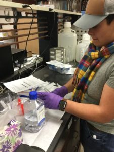 Jessica Nunez works with saline solution on a laboratory bench top.