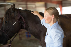 horse and veterinarian