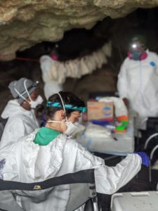 scientist in cave processes bats