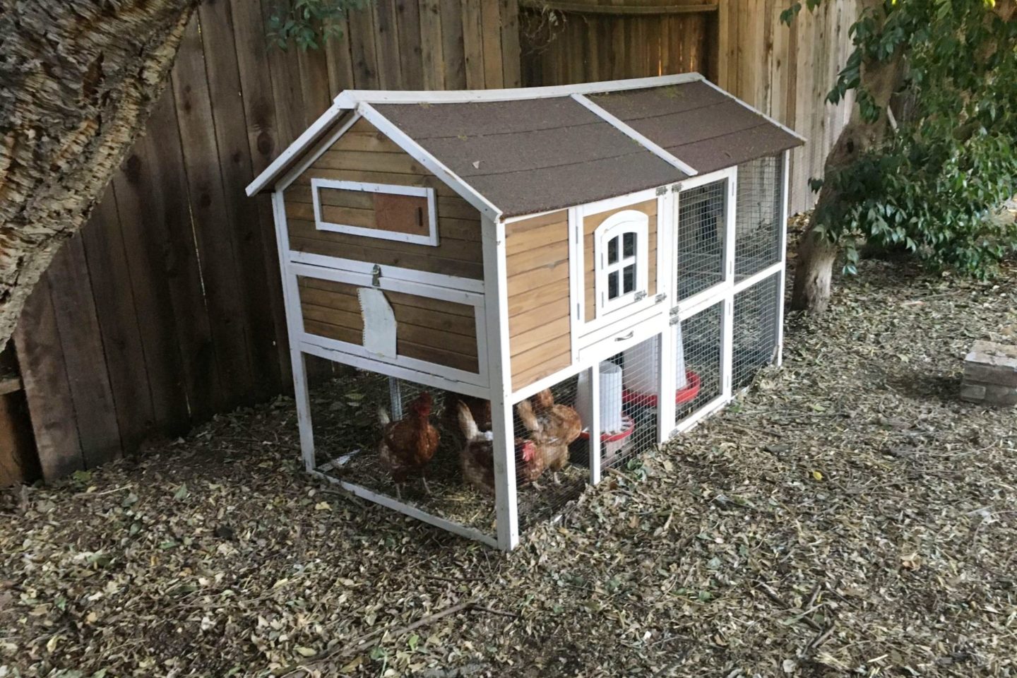 a fancy chicken coop