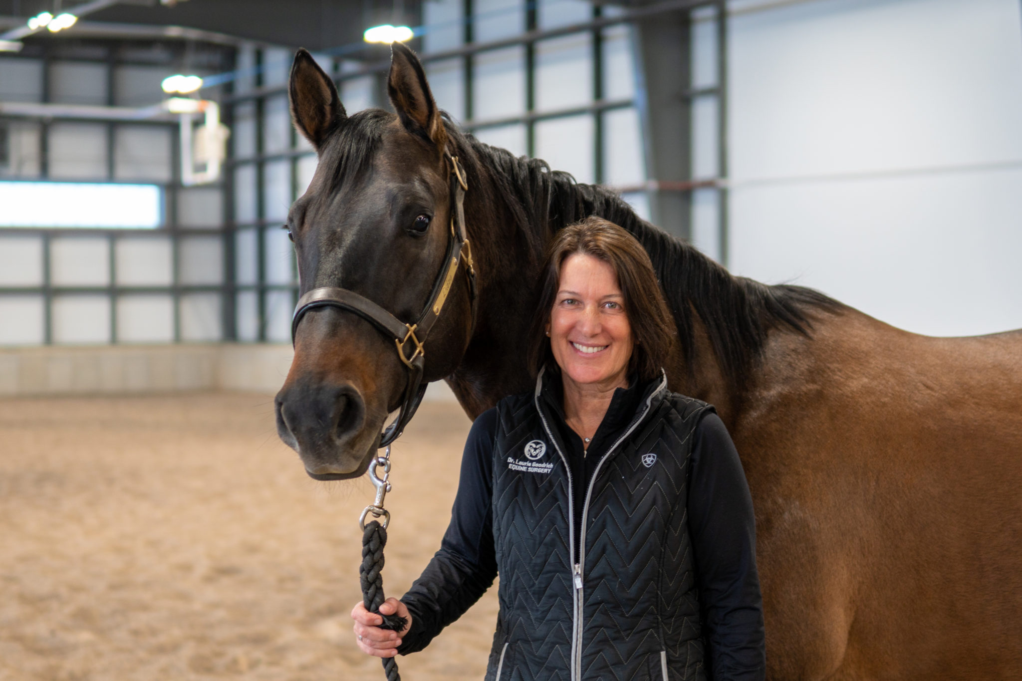 Passing the reins: Goodrich takes the lead on equine orthopaedics