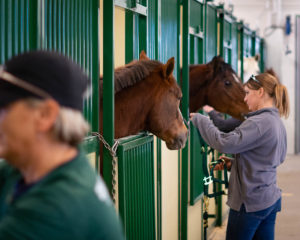 woman preparing to put bridle on horse in stall