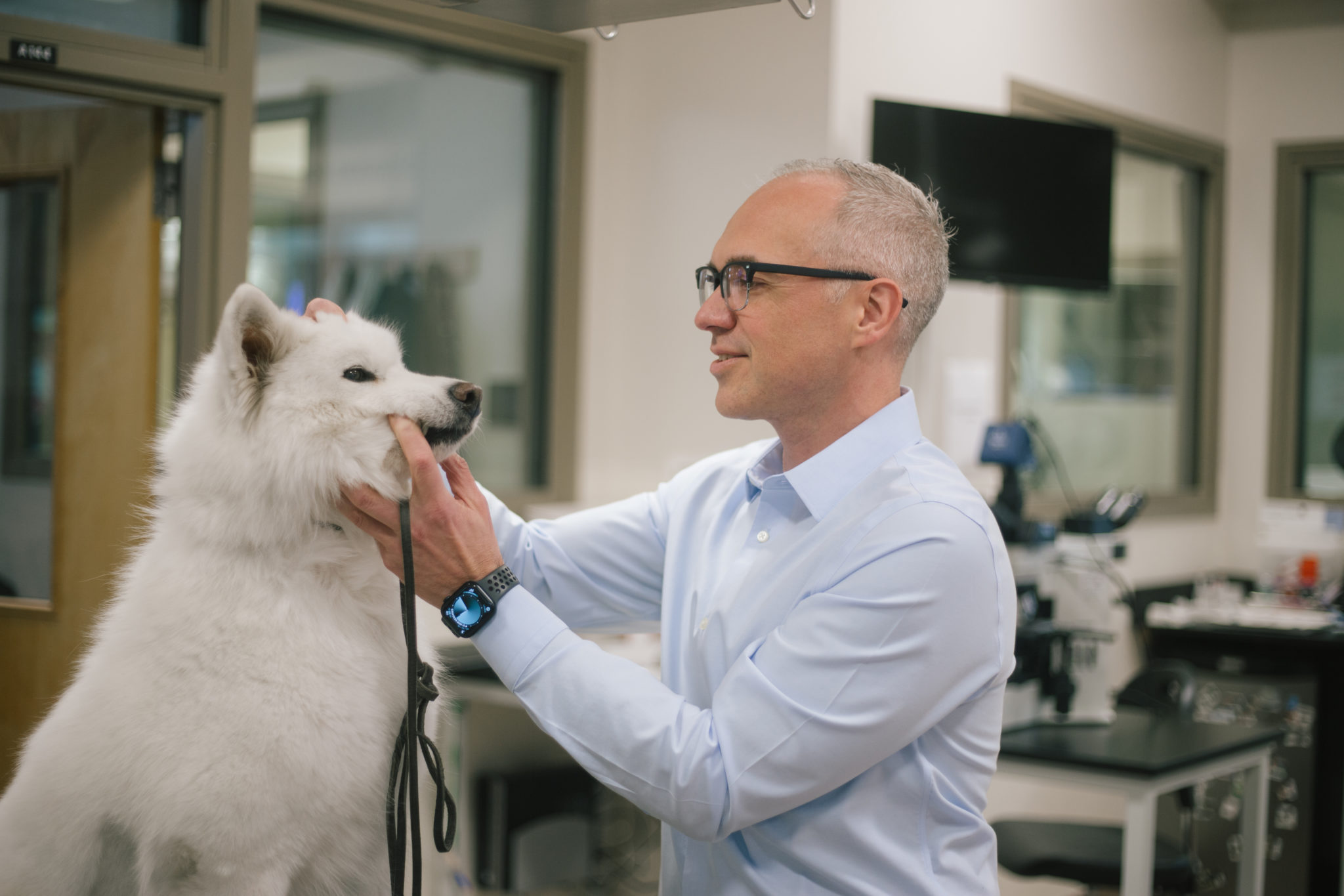 man examining fluffy white dog's face