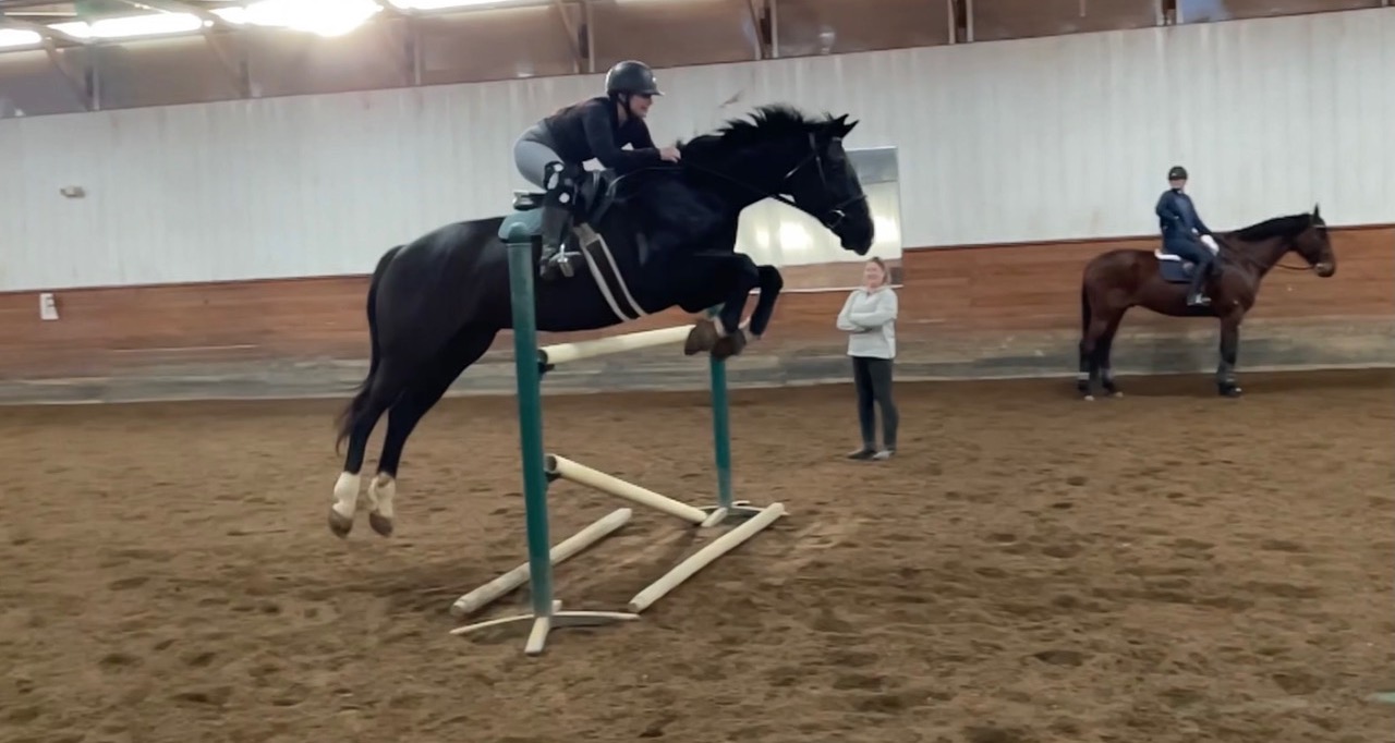 Wollman and horse jumping