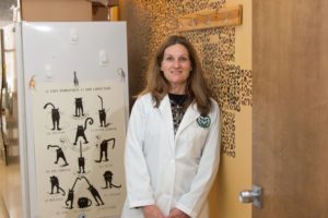 CSU’s Sue VandeWoude named next dean of College of Veterinary Medicine and Biomedical Sciences