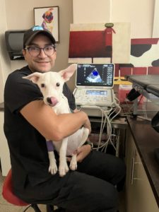 Veterinarian Dr. Ferrer with white dog