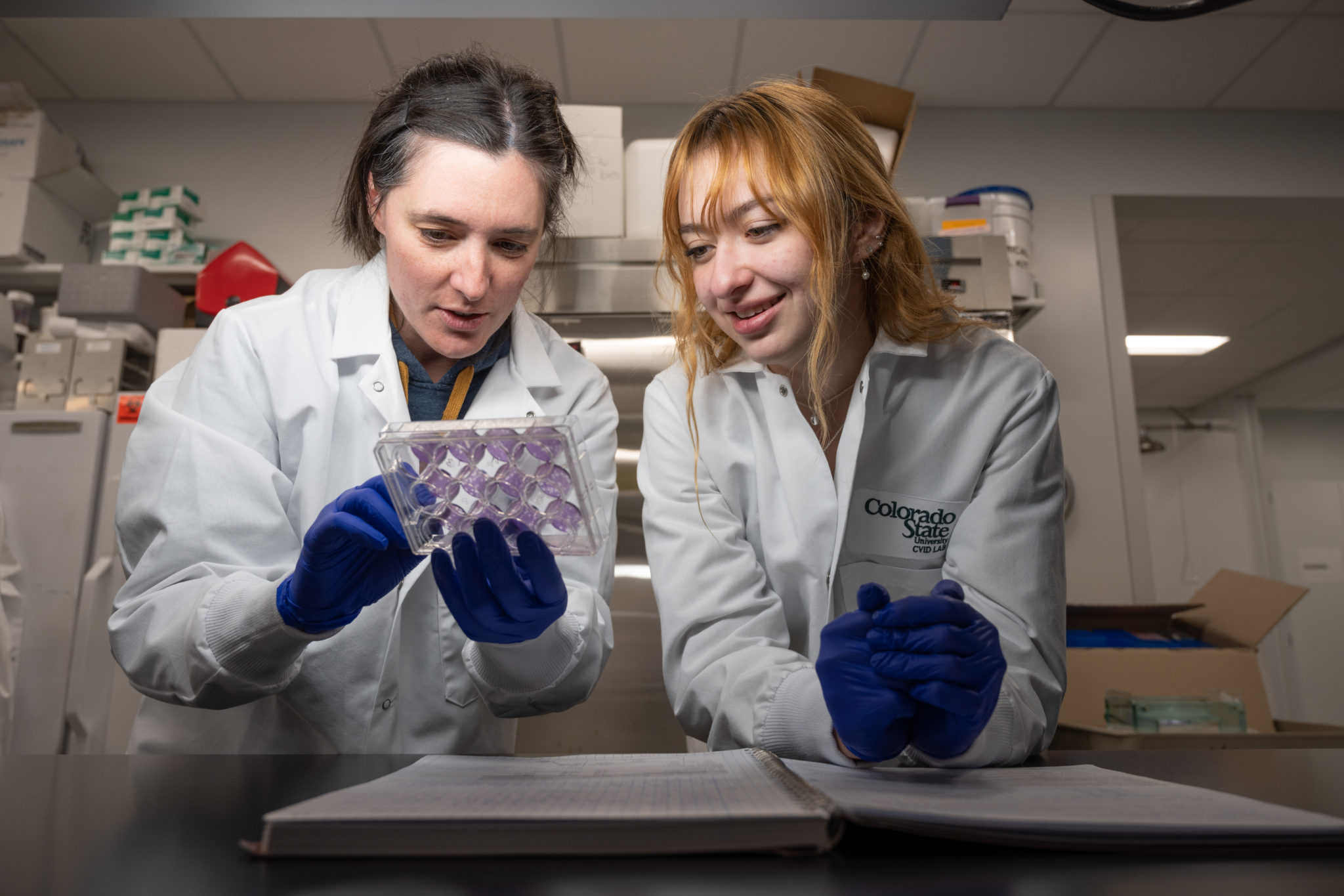 Research Scientist Emma Harris (left) and MARC Scholar Olivia Martinez work closely together in Associate Professor Rebekah Kading’s laboratory. 