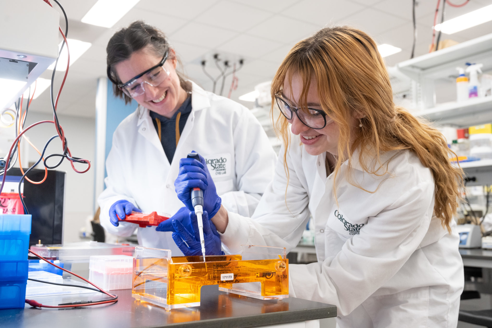 Research Scientist Emma Harris (left) and MARC Scholar Olivia Martinez work closely together in Associate Professor Rebekah Kading’s laboratory.
