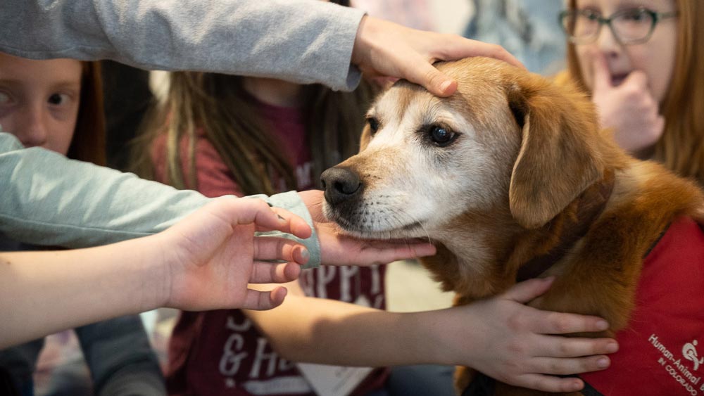 A volunteer dog from Human Animal Bond in Colorado with students from Bauder Elementary