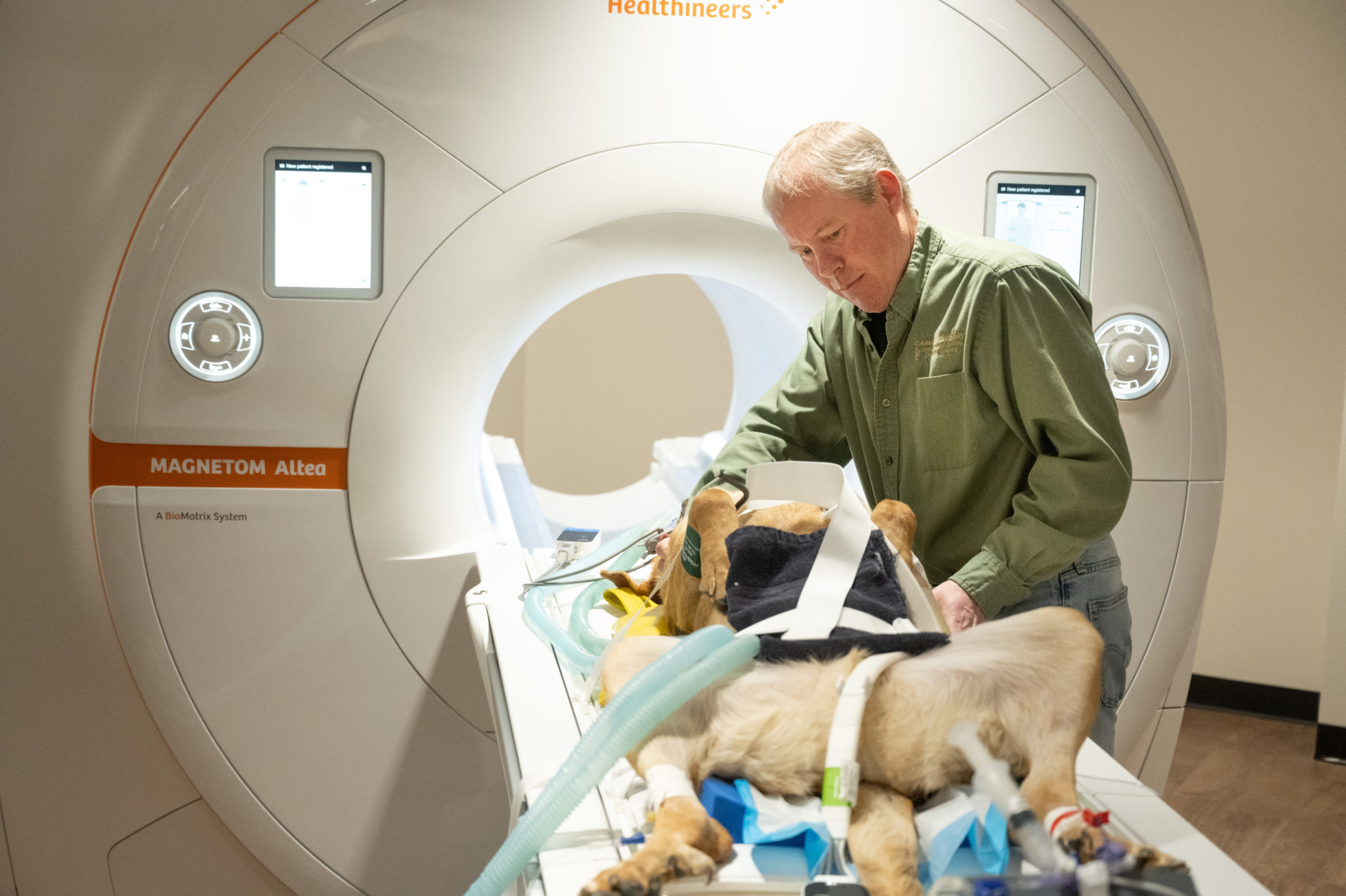German shepherd preparing for MRI