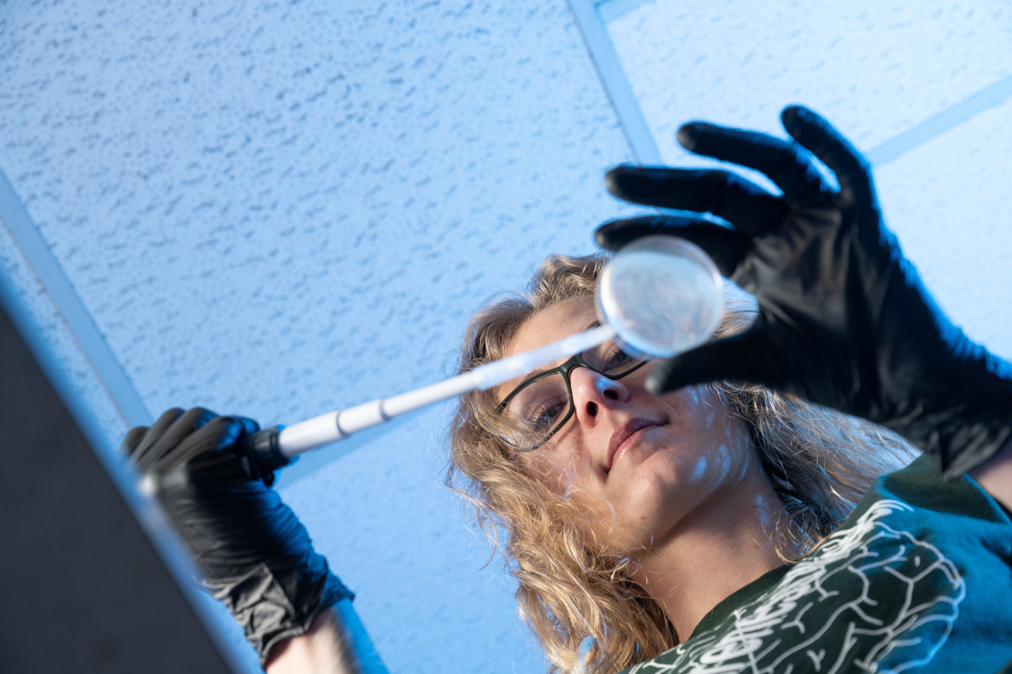 Sarah Yambrick, a neuroscience senior, uses a pipetting technique to wash a culture plate containing C. elegans.