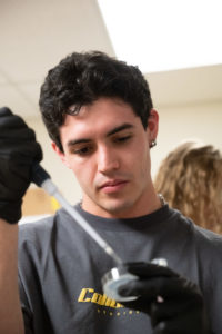 Jake Lonergan, a neuroscience senior, uses a pipetting technique to wash a culture plate containing C. elegans.