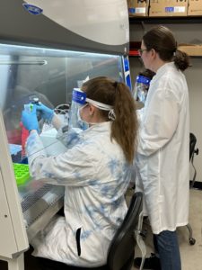 Sara Sellers (left), a biomedical sciences senior, uses specialized equipment in a biosafety hood to concentrate artificial wastewater samples with the assistance of Instructor Bettina Broeckling.