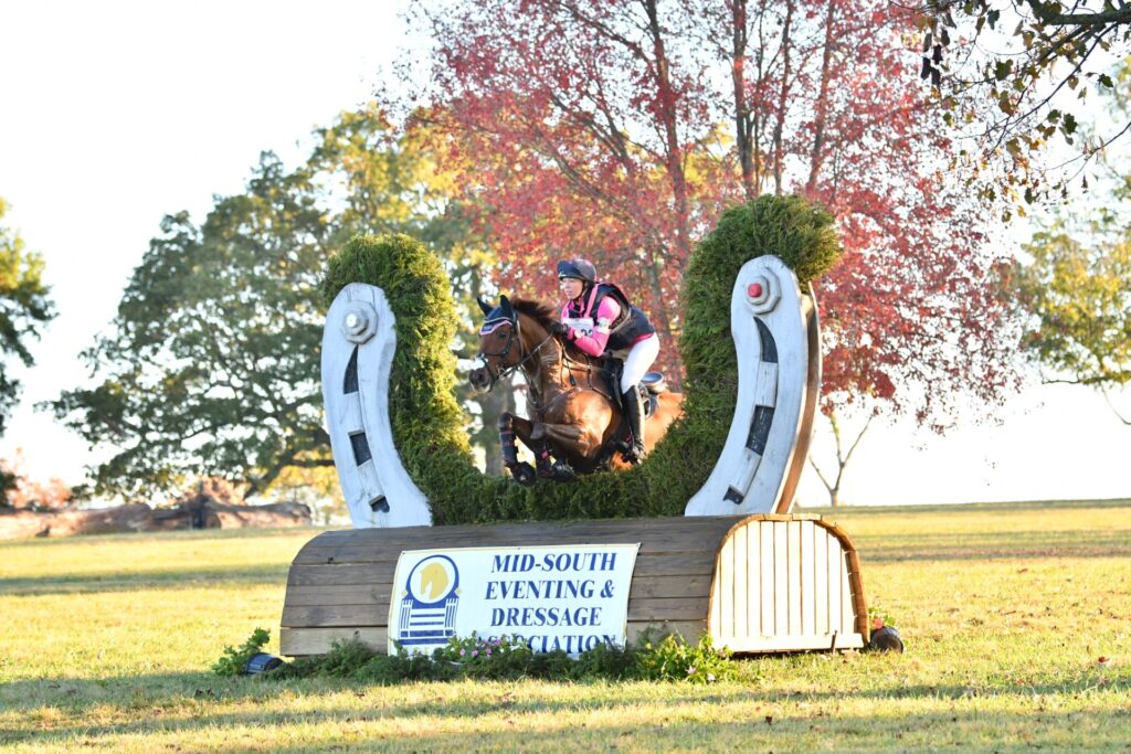 Horse jumping through a horseshoe-shaped display