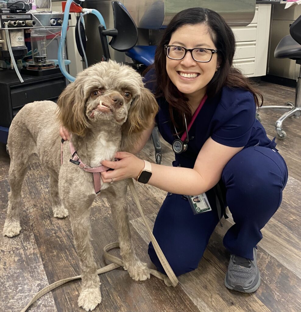 Delilah the dog with Dr. Valeria Caceres