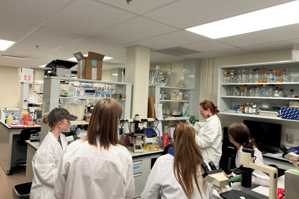 students watch in the lab