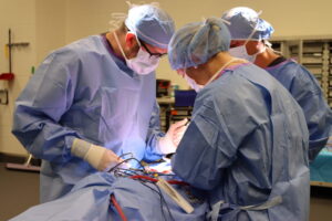 Three people in scrubs conduct surgery at the PSRL